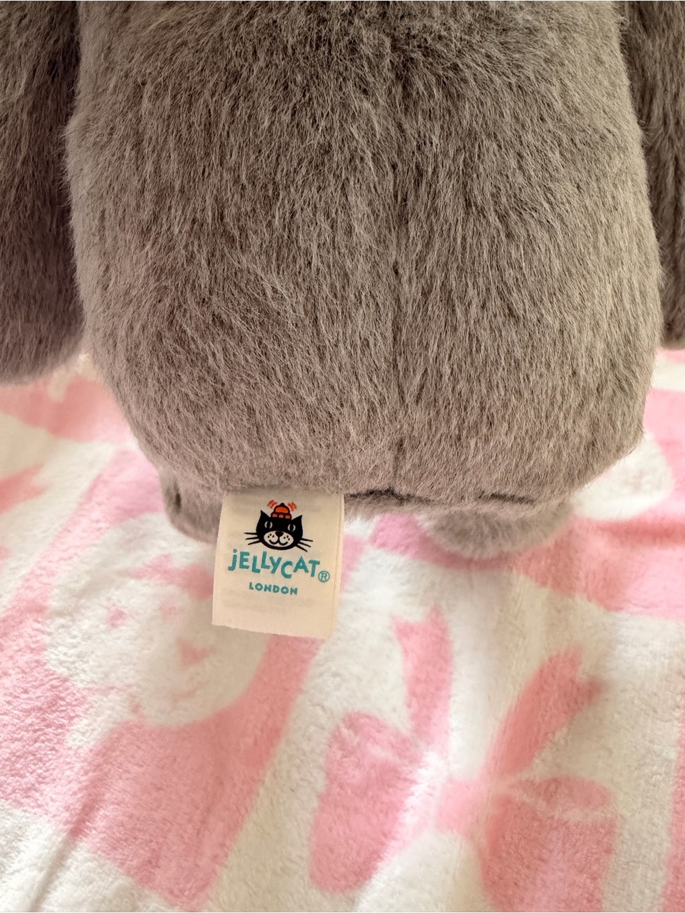 Jelly cat rockleton - Picture 5 of 7